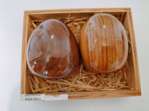 Pair of Wild Olive Wood Salt and Pepper Shakers.