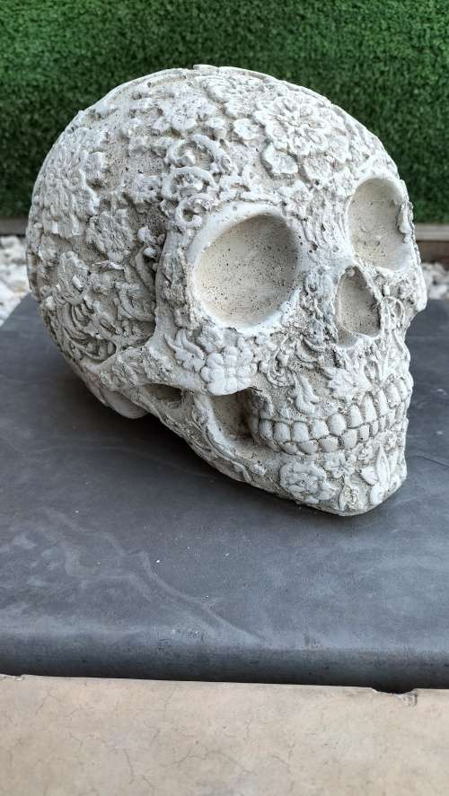 Magnificent Realistic Cement Decorative Skull (2 of 2)
