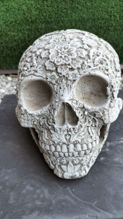 Magnificent Realistic Cement Decorative Skull (2 of 2)