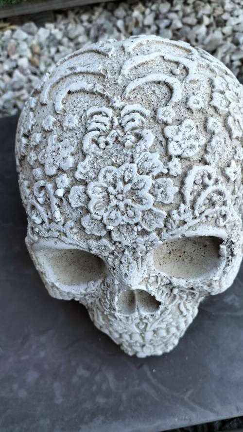 Magnificent Realistic Cement Decorative Skull (2 of 2)