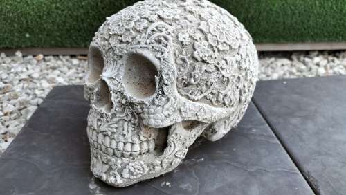 Magnificent Realistic Cement Decorative Skull (2 of 2)