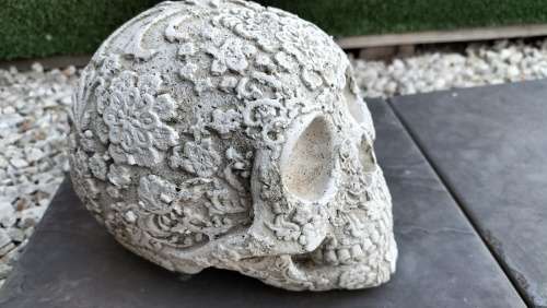 Magnificent Realistic Cement Decorative Skull (2 of 2)