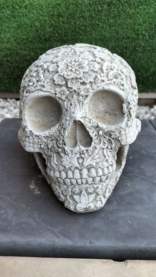 Magnificent Realistic Cement Decorative Skull (2 of 2)