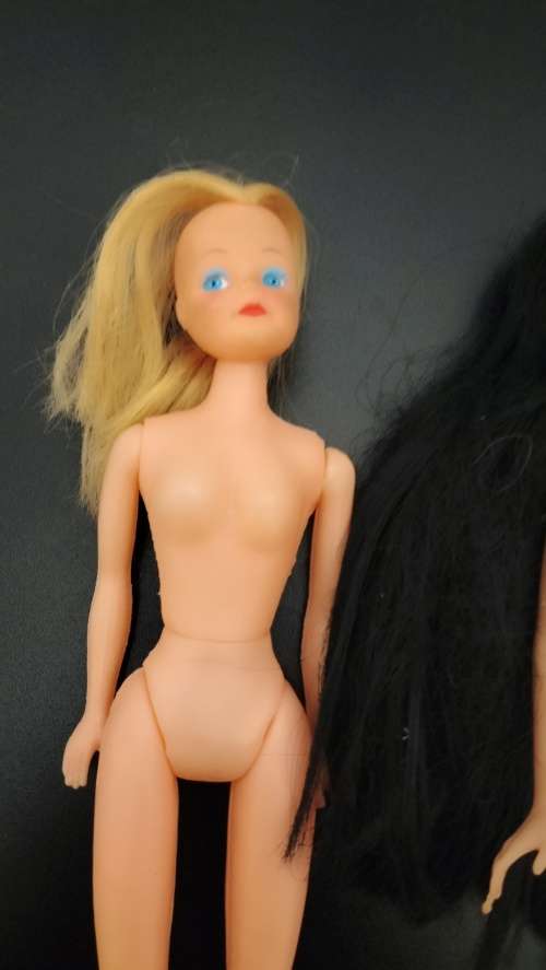 Genuine 2015 Hasbro Pocahontas Doll Plus Free No Name