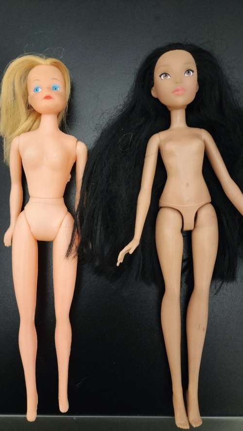 Genuine 2015 Hasbro Pocahontas Doll Plus Free No Name