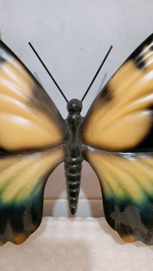 Beautiful Huge Butterfly Wall Hanging 20cm