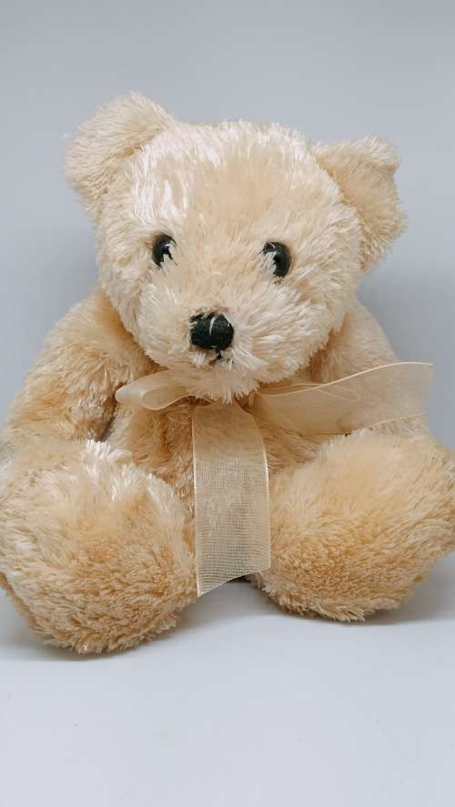 Soft Toy Plush - Teddy Bear