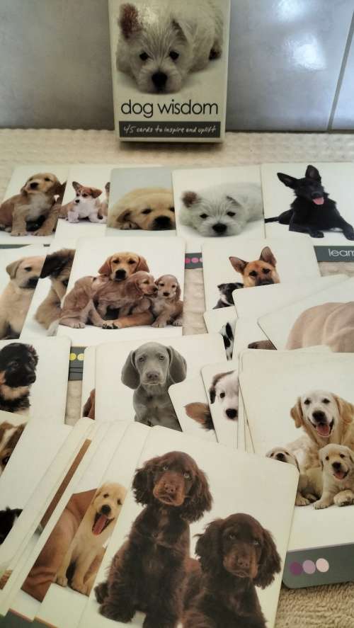 45 Inspirational Dog Themed Cards - Boxed
