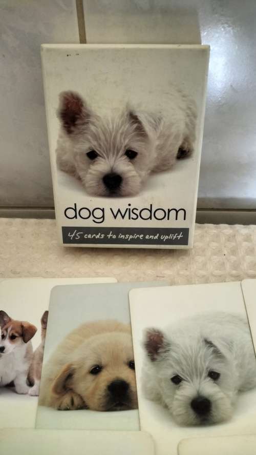 45 Inspirational Dog Themed Cards - Boxed