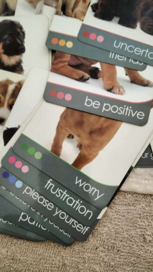 45 Inspirational Dog Themed Cards - Boxed