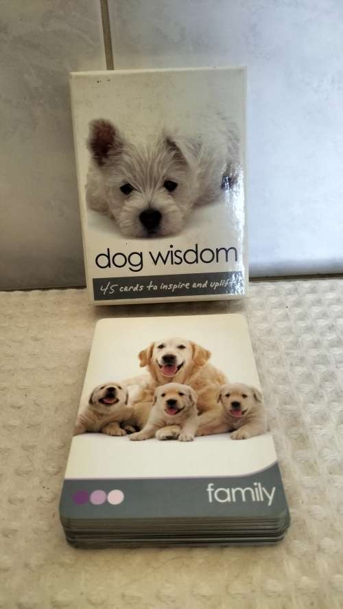 45 Inspirational Dog Themed Cards - Boxed
