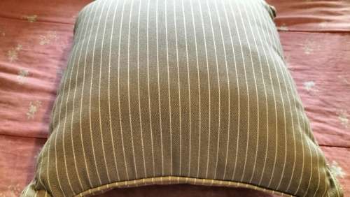 Stunning Scatter Cushion ( 12 Of 12 )