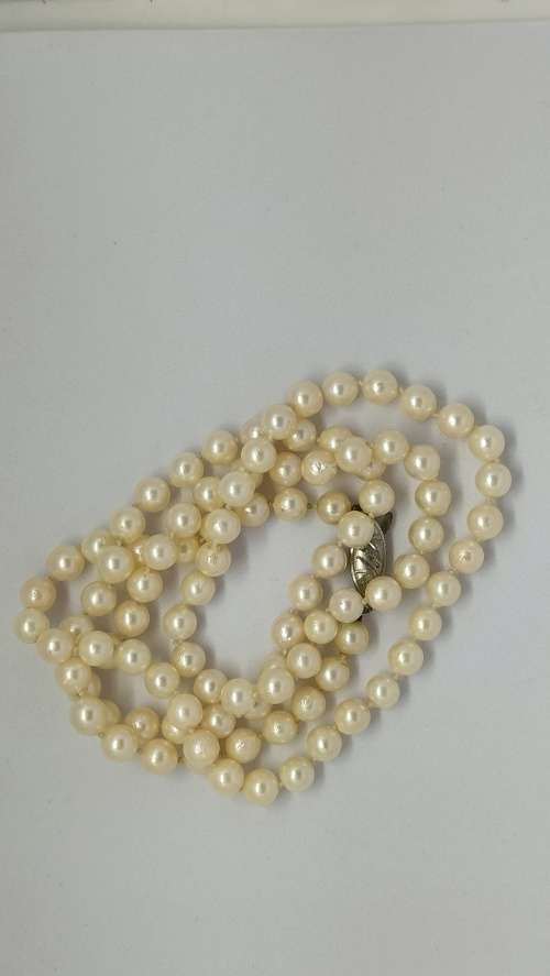 Absolutely Magnificent 75cm (97 pearls) Rose Japanese with Sterling Silver Clasp (Value R12 000)
