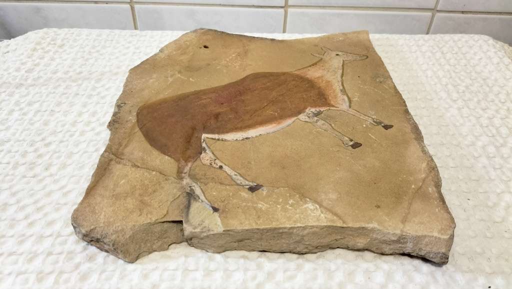 Modern Bushman Stone Rock Drawings