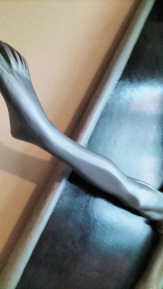 Artwork By Renowned Eben Germishuys (Creator Of Rugby Player Statue At Loftus) Read Description