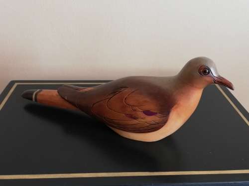 FEATHERS OF KNYSNA : NAMAQUA DOVE