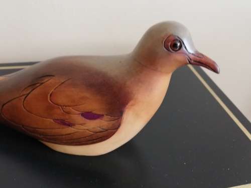 FEATHERS OF KNYSNA : NAMAQUA DOVE