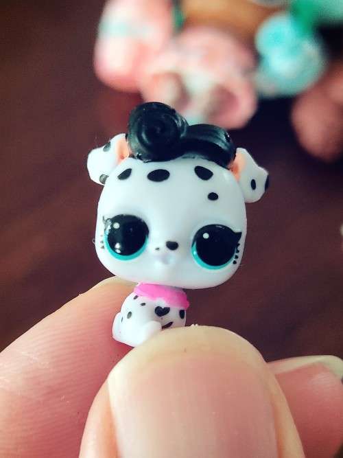 Collection of different LOL Surprise Dolls (Toys)