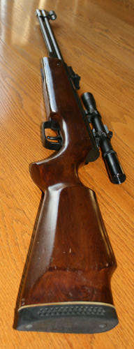 PELLETT GUN WITH SIGHTS