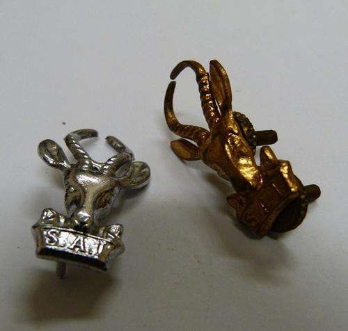 SAI BARET BADGES (2)