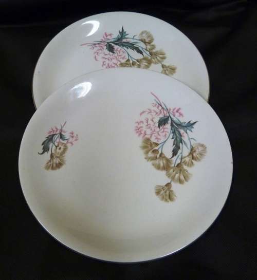 2 dinner plates ' Thistledown' by Alfred Meakin, England