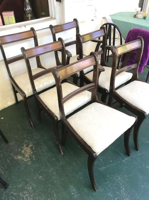 Mahogany Victorian style Chairs: set of 6 ( 2 Carvers and 4 chairs )