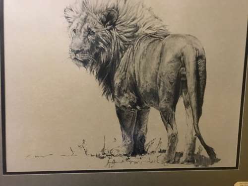 Ink Drawing by Koos van Ellinckhuizen ( 105 x 88 cm )