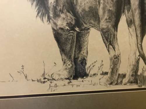 Ink Drawing by Koos van Ellinckhuizen ( 105 x 88 cm )