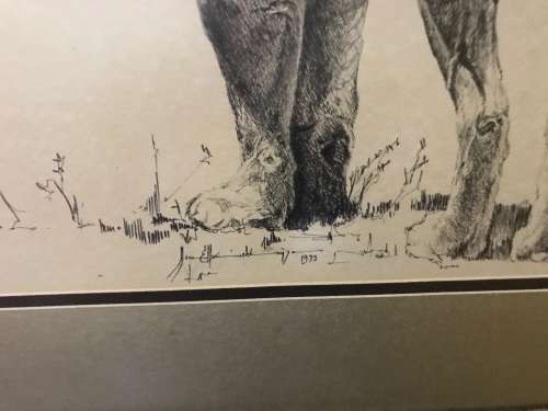 Ink Drawing by Koos van Ellinckhuizen ( 105 x 88 cm )