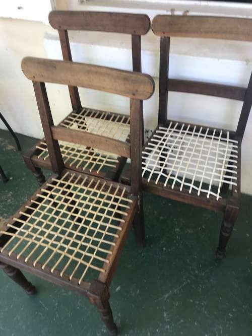 Set of 3 Cape Stinkwood Riempie Chairs
