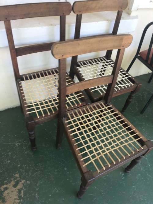 Set of 3 Cape Stinkwood Riempie Chairs
