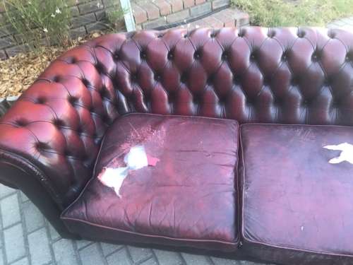 Vintage Chesterfield Leathercouch from England ( 240 cm )