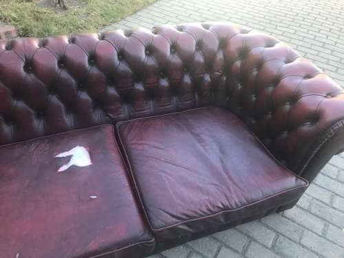 Vintage Chesterfield Leathercouch from England ( 240 cm )