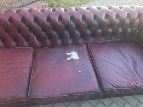 Vintage Chesterfield Leathercouch from England ( 240 cm )