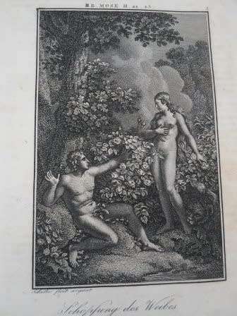 BEAUTIFUL GERMAN BIBLE 1848, LEATHER BOUND WITH 62 ENGRAVINGS