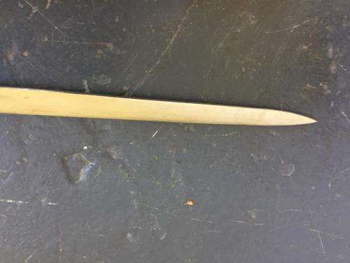 SA CORRECTIONAL SERVICES OFFICERS SWORD IN GOOD CONDITION