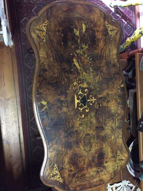 Victorian Burr Walnut Kidney Table circa 1880 ( 95 x 50 x 70 cm )
