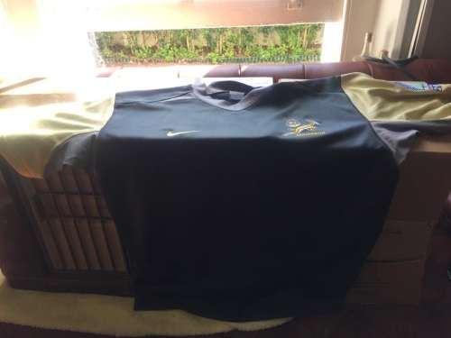Springbok Rugby Training Jersey Worldcup 2003 , Thinus Delport