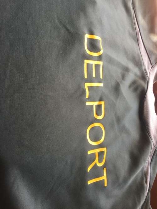 Springbok Rugby Training Jersey Worldcup 2003 , Thinus Delport