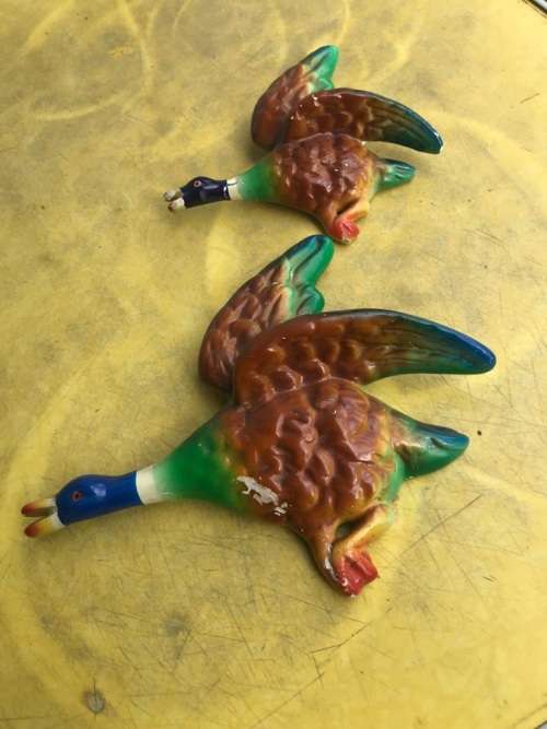 Pair of Flying Ducks ( 23 x 18, 16 x 13 cm )