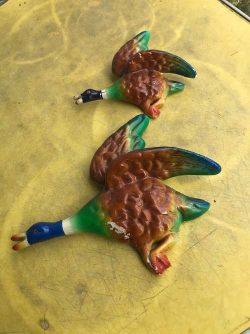 Pair of Flying Ducks ( 23 x 18, 16 x 13 cm )