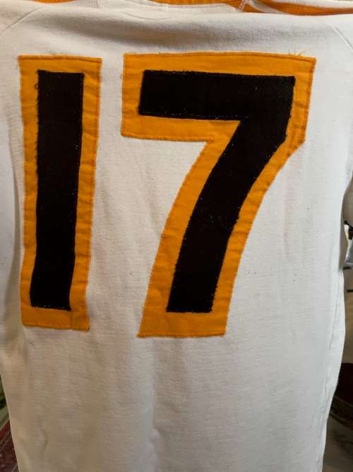 Rugby Jersey: Free State Players Jersey no 17