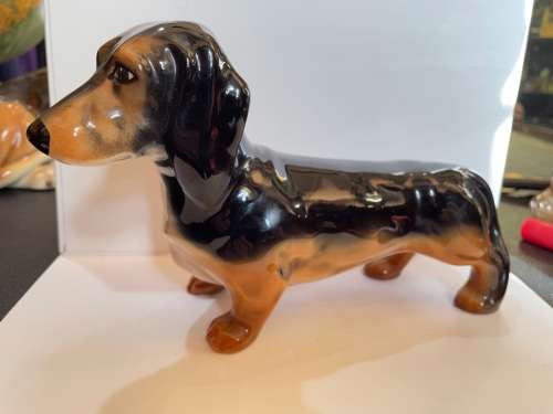 Daschund Beswick ( 23 x 14 cm )