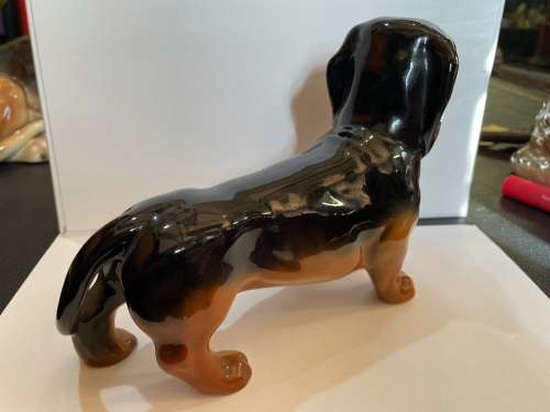 Daschund Beswick ( 23 x 14 cm )