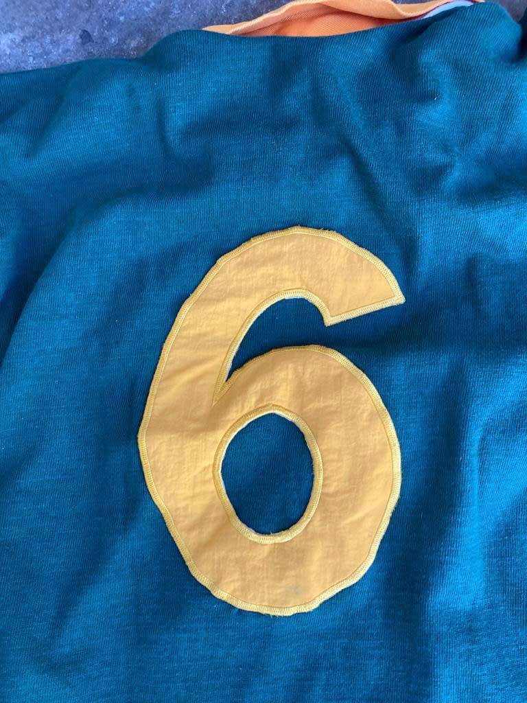 Springbok Rugby Jersey : 1995 Worldcup Final  no 6 Replica