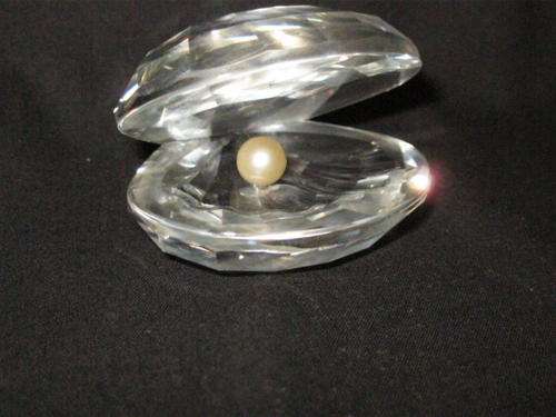 SWAROVSKI SHELL with PEARL