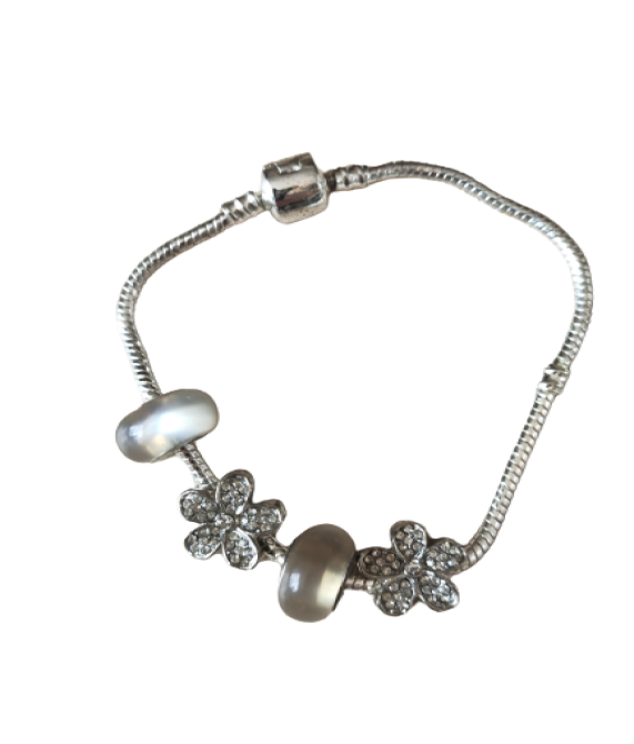 Bulk Buy European Bracelet and Charms - Pack A