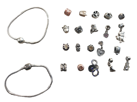 Bulk European Bracelet and Charms Pack D