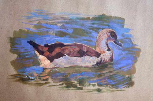 'LONE EGYPTIAN GOOSE'