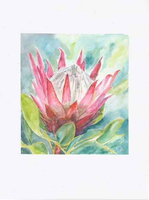 `PROTEA 3`